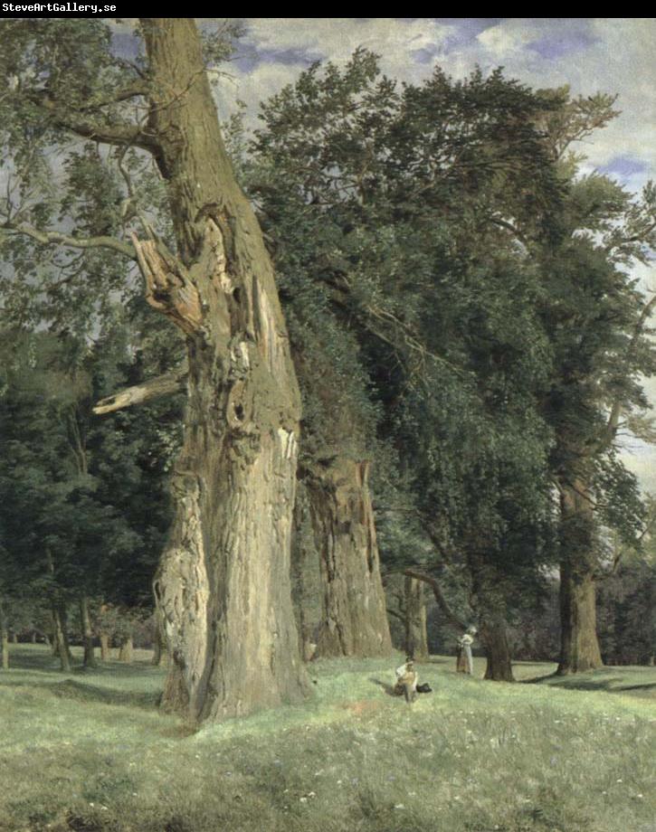 Ferdinand Georg Waldmuller old elms in prater